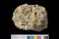 藏品(石灰岩)的圖片